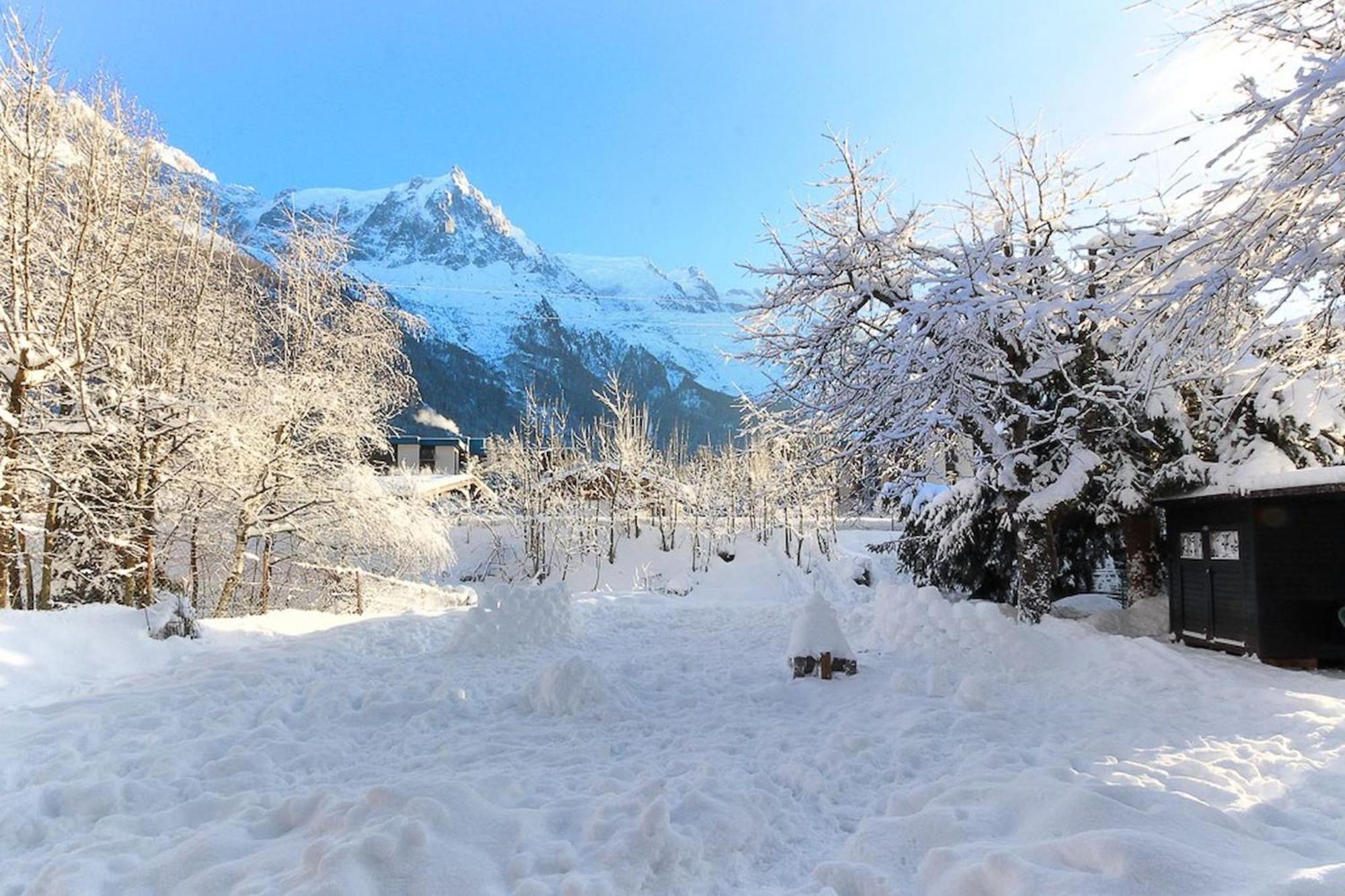 Violette De Cham - Jardin Prive - Vue Mont Blanc Apartment Chamonix Exterior photo